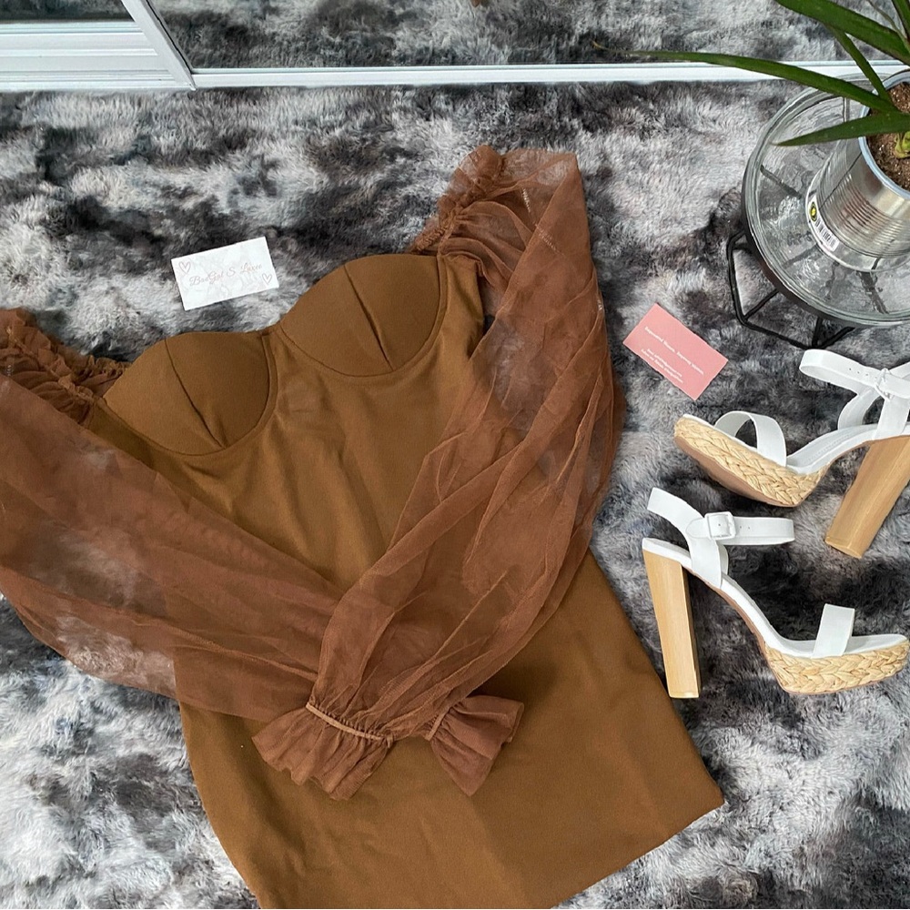 Brown Dress with Sheer Sleeves